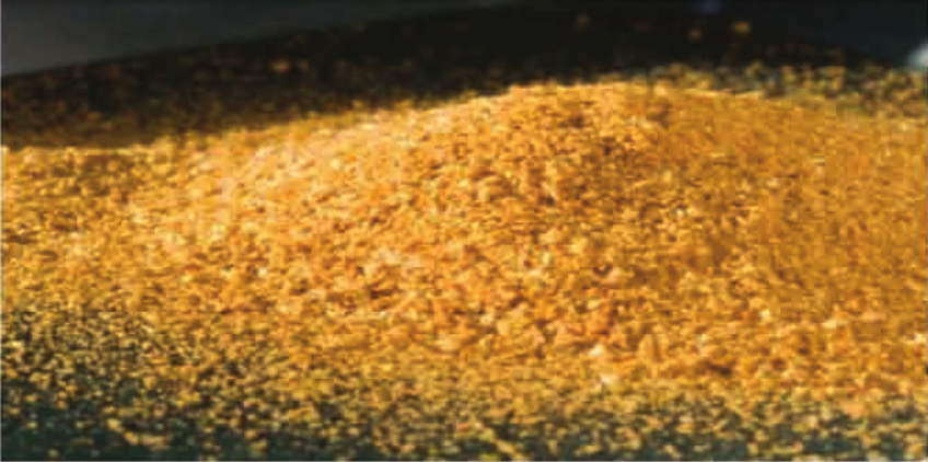 إستخدام نواتج تقطير الحبوب المجففة مع الذوائب (DDGS) في أعلاف الدواجن