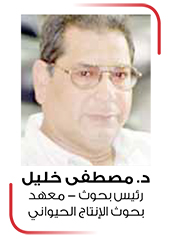 كيفيه تكوين علائق الدواجن كيفيه تكوين علائق الدواجن