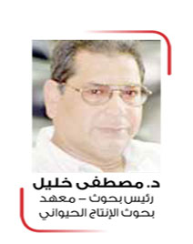 برنامج وقائي للوقاية من الأمراض في قطعان البياض برنامج وقائي للوقاية من الأمراض في قطعان البياض