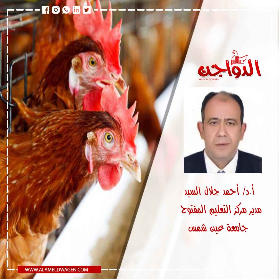 الأمن الحيوى فى مزارع الدواجن Biosecurity in Poultry Farm الأمن الحيوى فى مزارع الدواجن Biosecurity in Poultry Farm