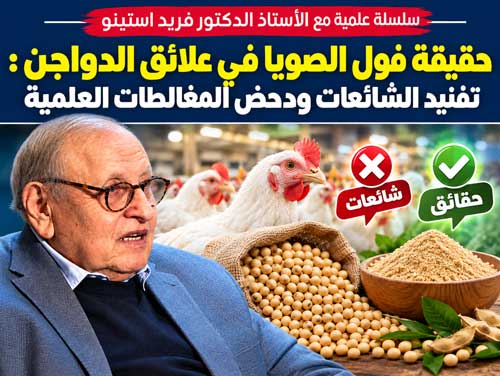 حقيقة فول الصويا في علائق الدواجن: تفنيد الشائعات ودحض المغالطات العلمية ( الجزء الرابع )